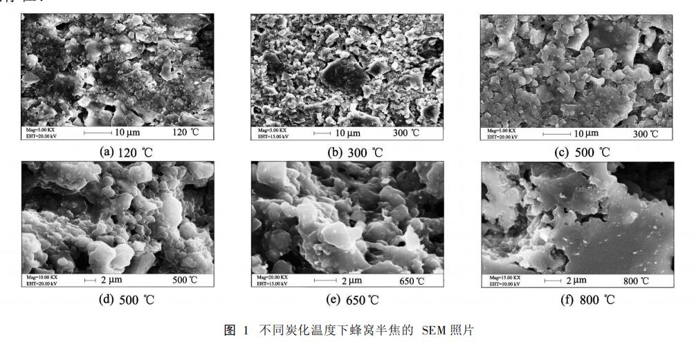 图1不同炭化温度下蜂窝半焦的SEM照片